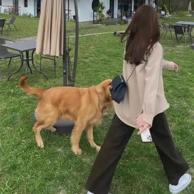 狼之谜
